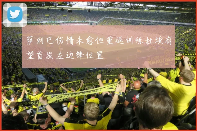 萨利巴伤情未愈但重返训练杜埃有望首发左边锋位置